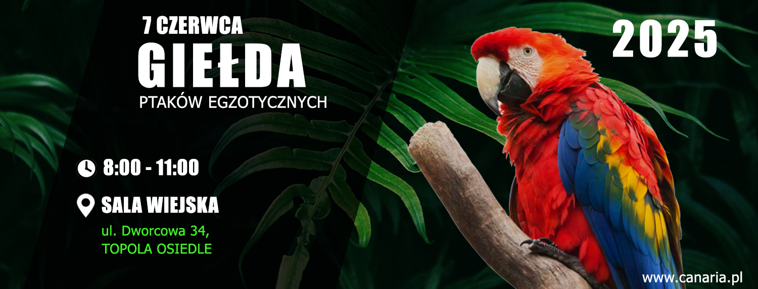 Giełda 