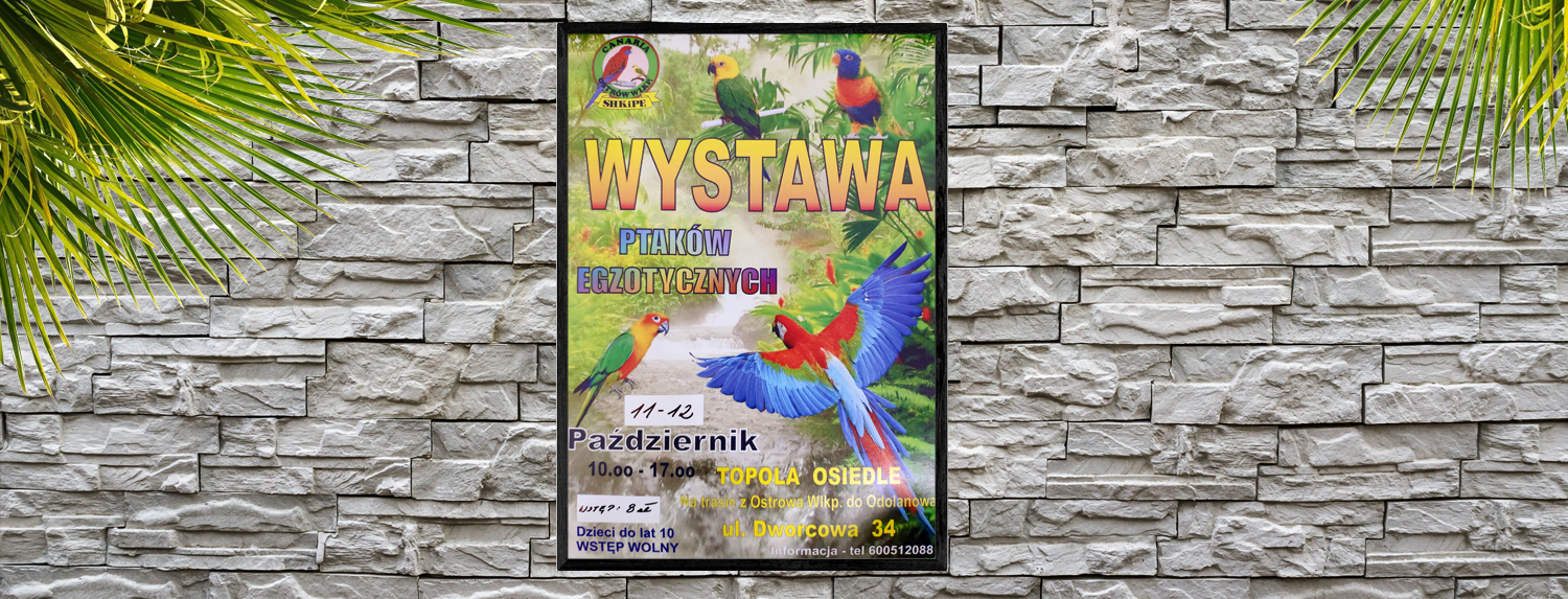 Mistrzostwa 2025