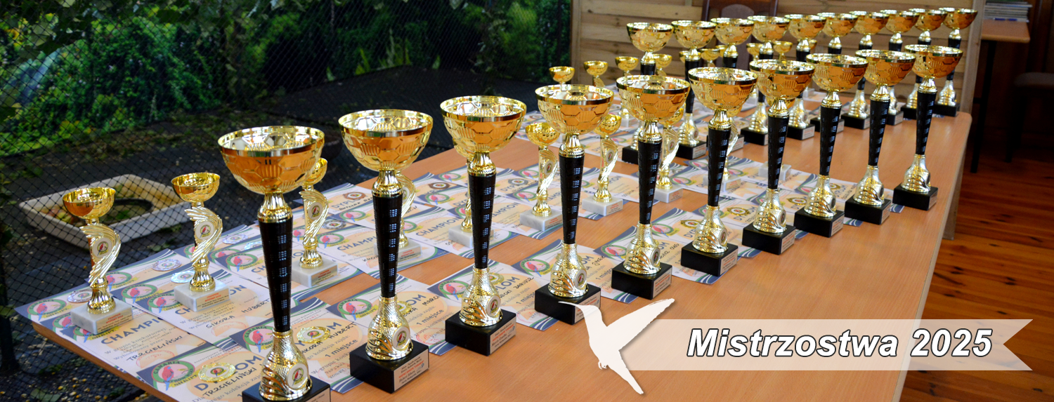 Mistrzostwa 2025