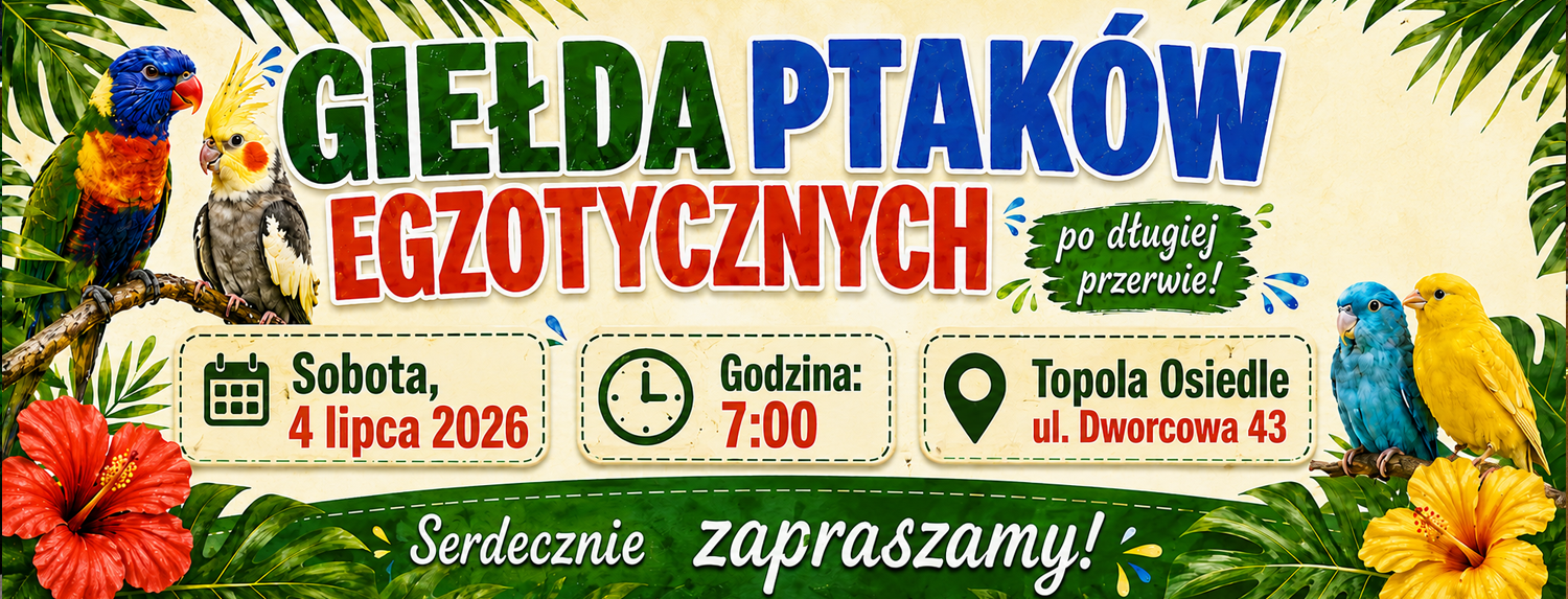 Giełda - lipiec 2026